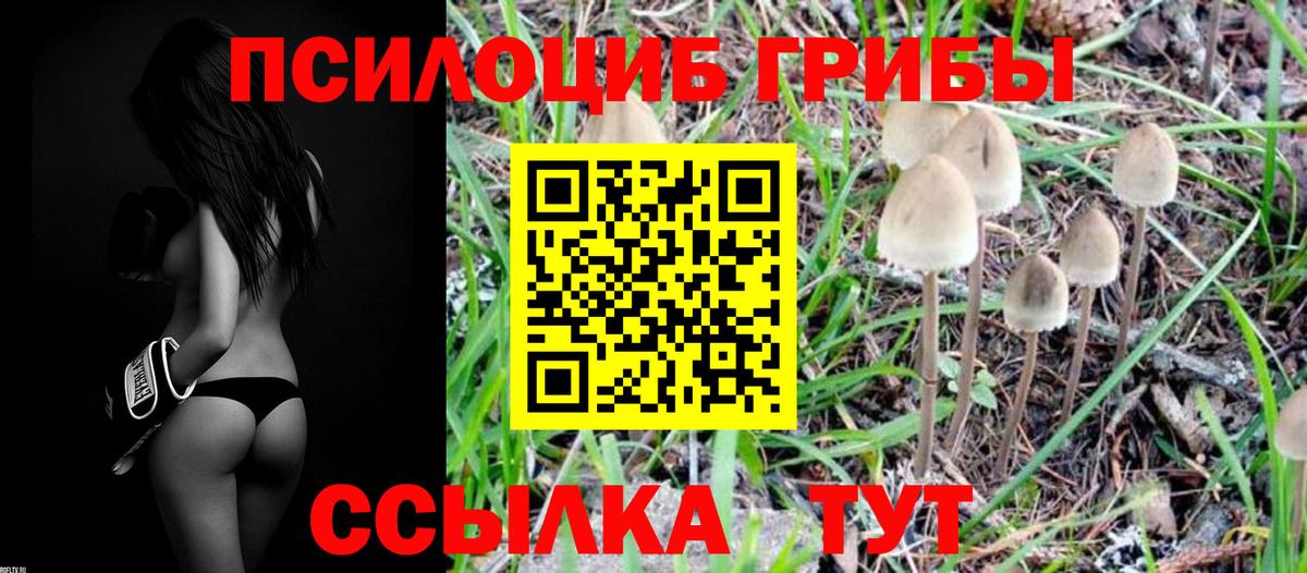 Псилоцибиновые грибы MAGIC MUSHROOMS Муравленко
