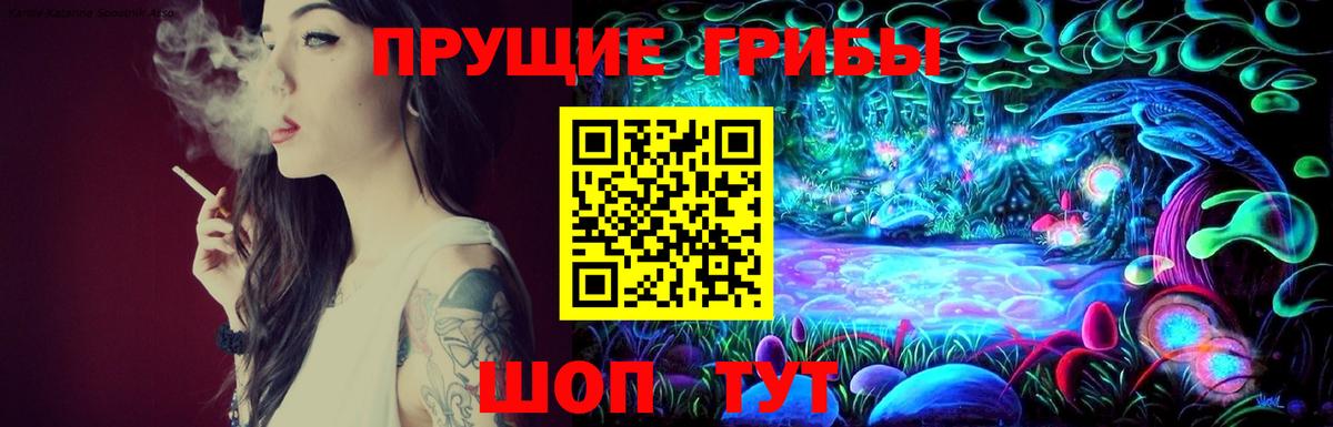 Псилоцибиновые грибы Psilocybine cubensis  Вход с VPN  Муравленко 